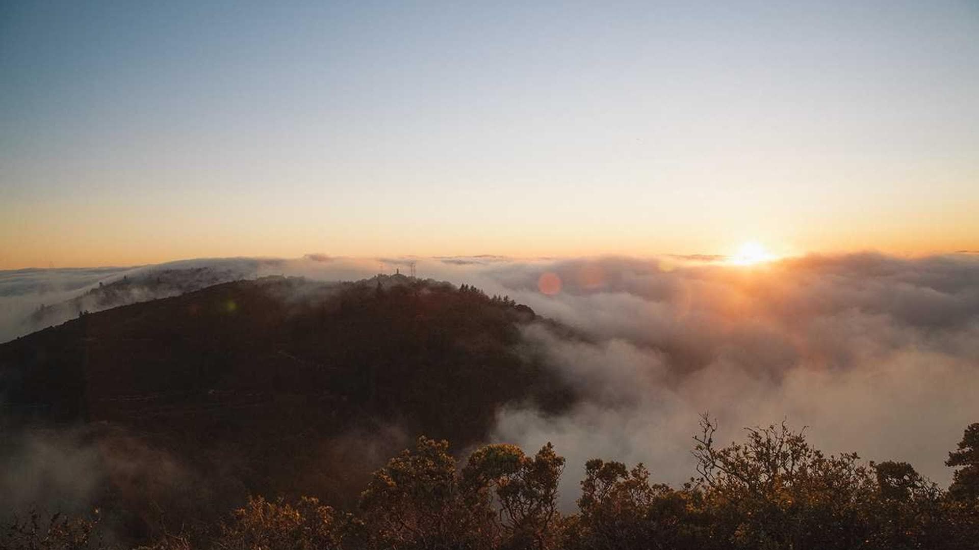 Customer service representative